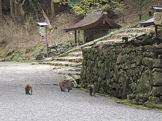 conv0003.jpg
