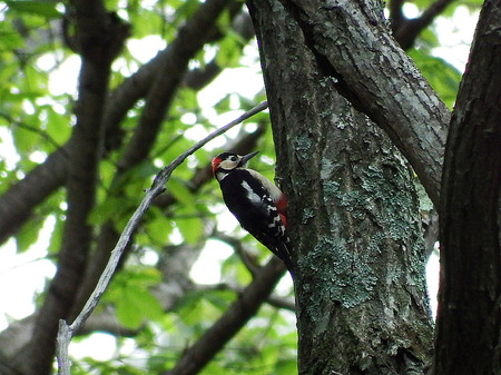 201405310009.jpg