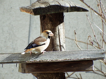 201502170001.jpg