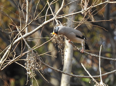 201602210008.jpg