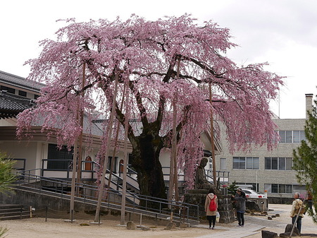 201604150002.jpg