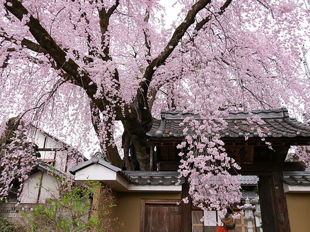 201604150004.jpg